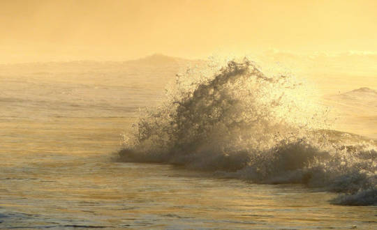 Why Iron Added Naturally In The Pacific Ocean May Have Slowed Climate Change