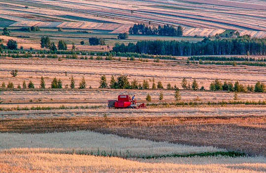 Does Eating Grass-fed Beef Help Fight Climate Change?