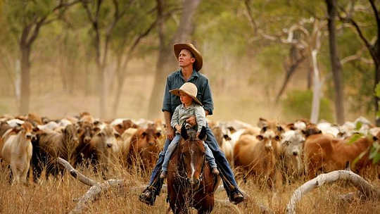 How Australian Farmers Are Adapting To Climate Change