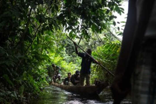 How We Discovered The World's Largest Tropical Peatland, Deep In The Jungles Of Congo