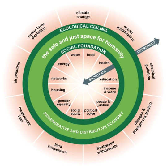 doughnut economics2 5 6