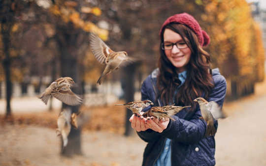 Chasing Down Food May Get Tougher For These Birds