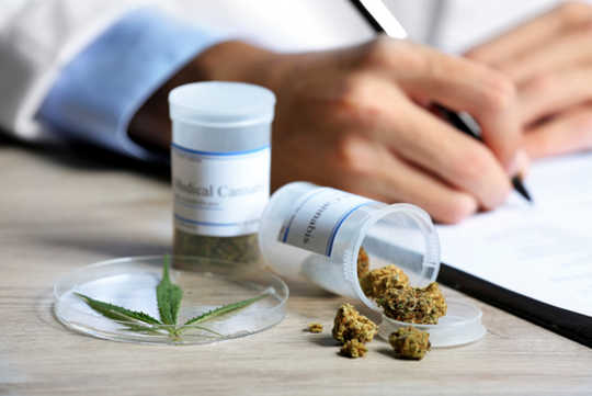 Can Marijuana Treat MS Symptoms? 