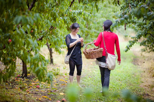 The Real Reasons Why British Workers Won't Pick Fruit