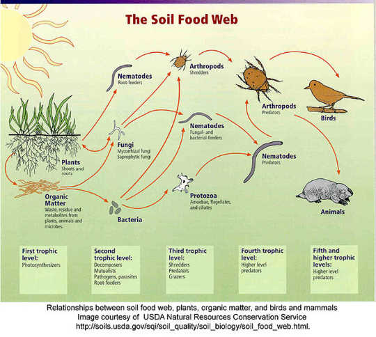 soils2 4 14