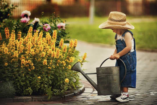 The Best Time To Water Your Plants During A Heatwave