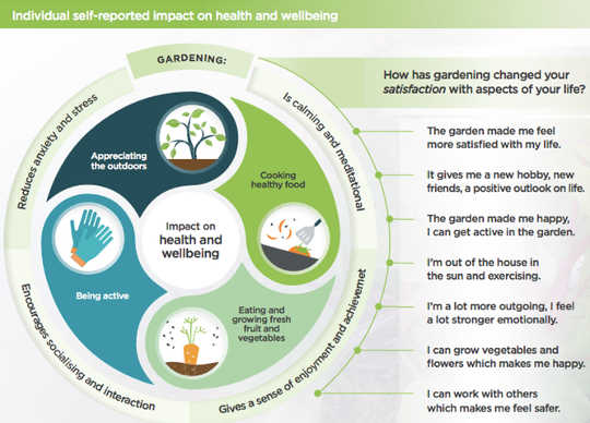 Community Greening participants found a lot of benefits to gardening.