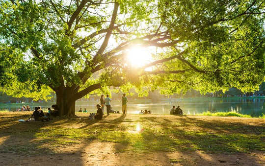 Endcliffe Park, Sheffield: a restorative and social space.  (How green spaces help combat loneliness)