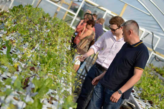 Farms don’t need fields. (Vertical farming sounds fantastic until you consider its energy use)