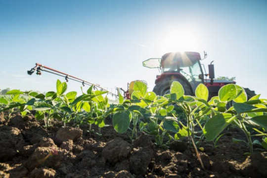 The increasing use of soy, which is related to the peanut, is said to contribute to allergy problems. (more people are experiencing severe food allergies than ever before)