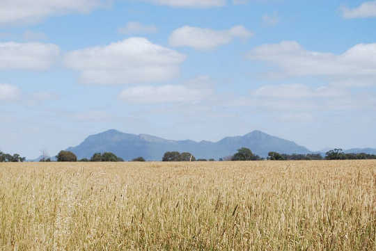 How Climate Change Will Reshape The World’s Agricultural Trade