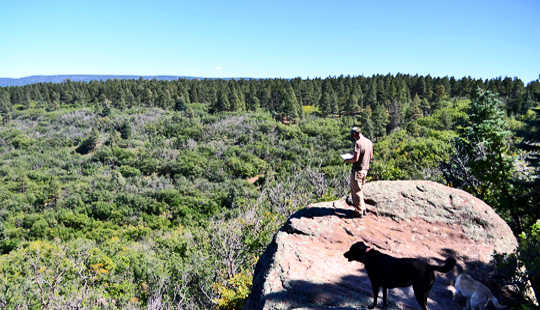 Will We Repeat Prehistoric Vegetation Loss