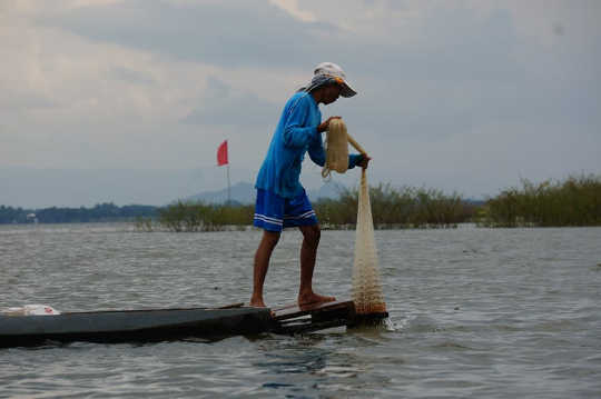 How We Can Eat Our Fish And Fight Climate Change Too