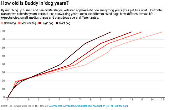 How Old Is My Pet In Dog Years Or Cat Years? 