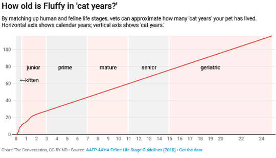 How Old Is My Pet In Dog Years Or Cat Years? 