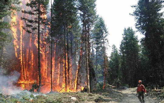 Future El Niño Events Could Spark An Even Higher Wildfire Risk