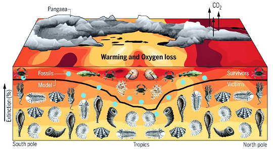 How We Know Climate Change Was Behind Earth’s Largest Extinction