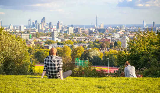 Urban Forests Can Store Almost As Much Carbon As Tropical Rainforests