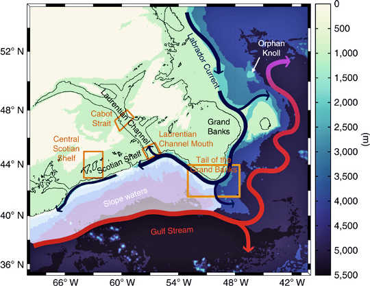 Why The Gulf Of St. Lawrence Is Losing Oxygen