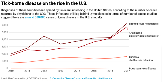 Ticks Spread Plenty More Than Lyme Disease