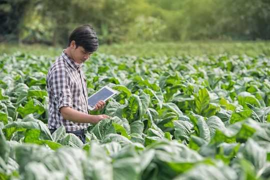 3 Ways Farms Of The Future Can Feed The Planet And Heal It Too