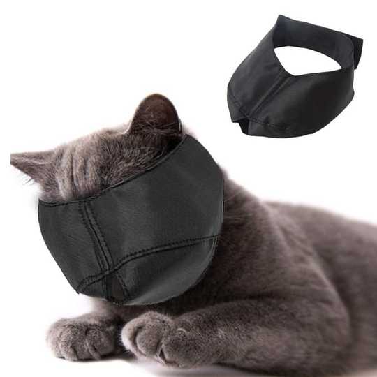 Are Cat Muzzles Cruel Or Useful?