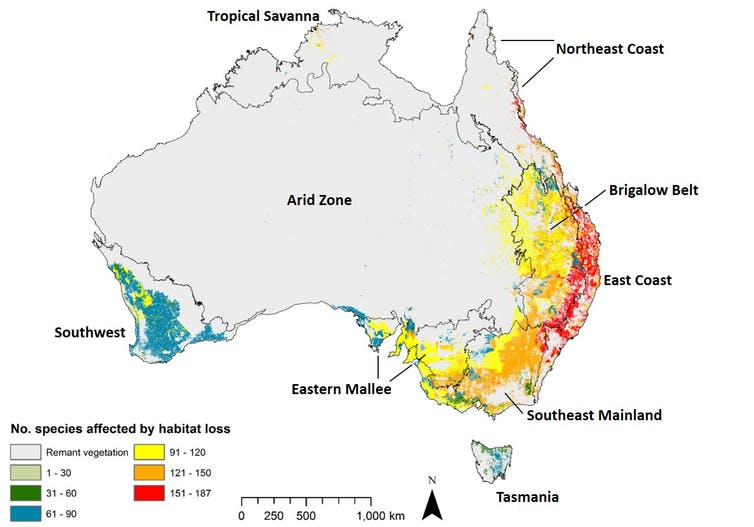 Why Most Native Bird Species Are Losing Their Homes