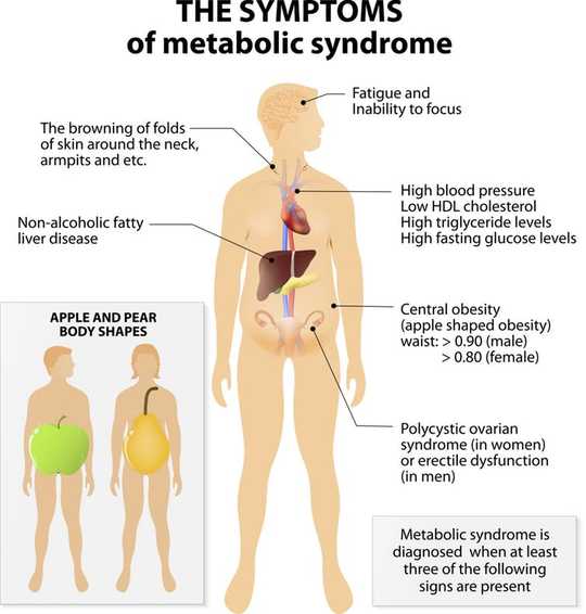 Limited Eating Times Could Be A New Way To Fight Obesity And Diabetes