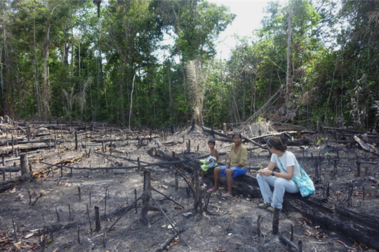 How Fires Weaken Amazon Rainforests' Ability To Bounce Back