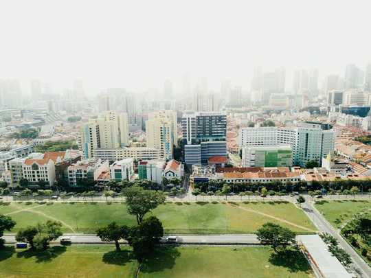 Increasing Tree Cover May Be Like A Superfood For Community Mental Health