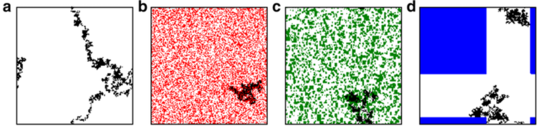 Habitat Loss Doesn't Just Affect Species, It Impacts Networks Of Ecological Relationships