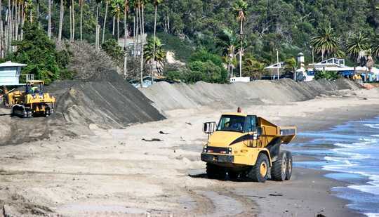 Grooming For Natural Beauty Messes Up Beach Biodiversity