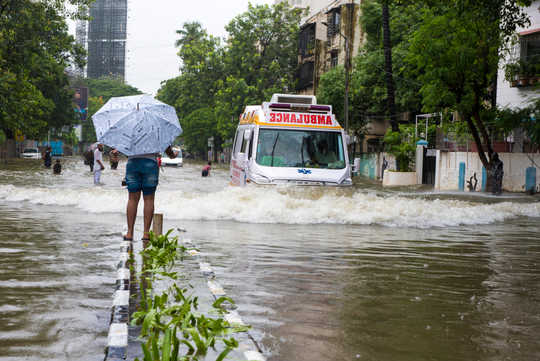 To Tackle The Climate Crisis We Need More Democracy, Not Less