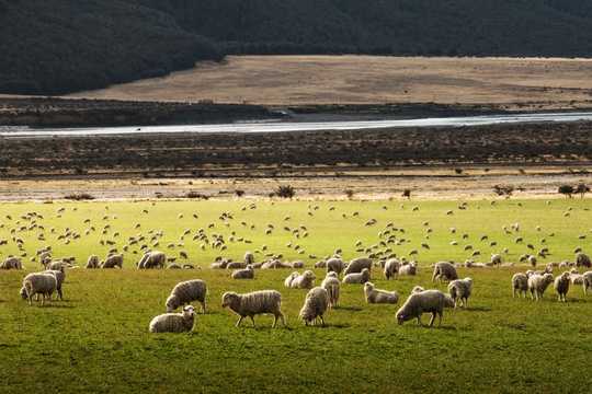 4 Ways To Reduce The Carbon In Your Food Basket