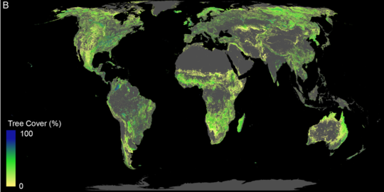 Will Reforesting An Area The Size Of The US Help Avert Climate Breakdown?