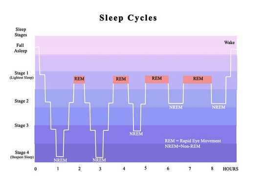 Does Hitting The Snooze Button Really Help You Feel Better?