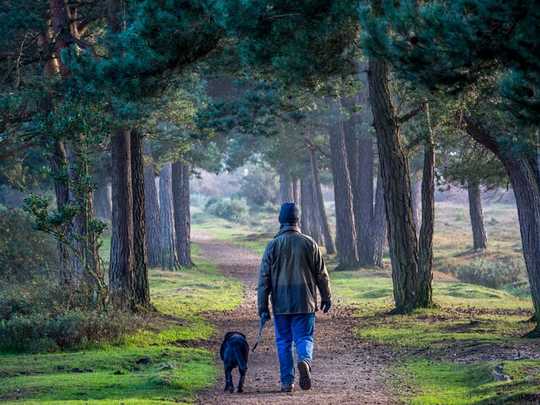 Spending Two Hours A Week In Nature Is Linked To Better Health And Well-being