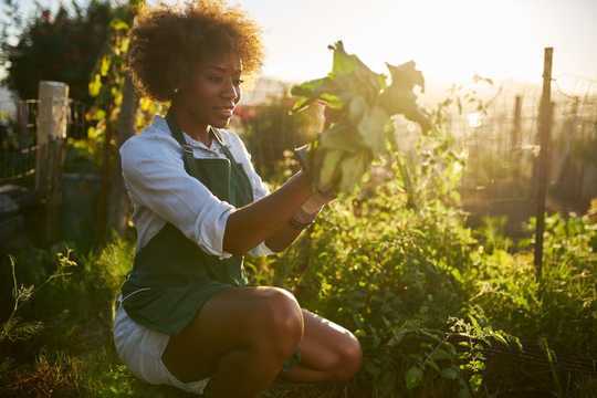 Why Doctors Are Prescribing Gardening For Anxiety And Depression Rather Than Drugs