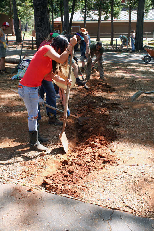 How Permaculture Is Helping Wildfire Survivors Recover