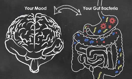 Gut Microbes Can Get You Drunk And Damage Your Liver