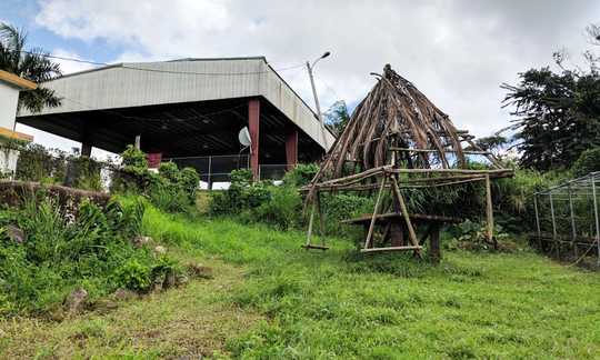 Meet the Farmers Reclaiming Puerto Rico’s Agricultural History