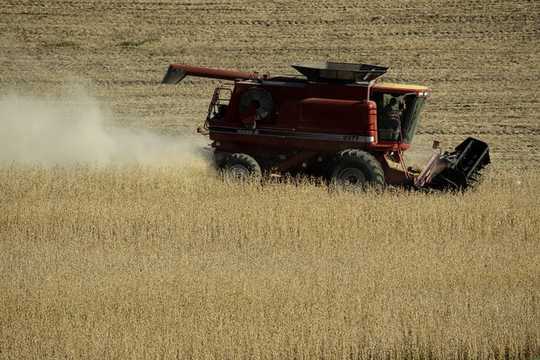 3 Reasons Midwest Farmers Hurt By The U.s.-china Trade War Still Support Trump