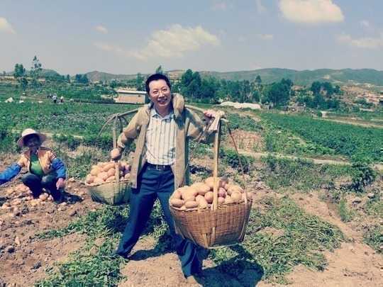 How The Humble Potato Fuelled The Rise Of Liberal Capitalism