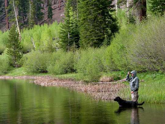 Why Sierra Nevada Pools And Riffles Are In Trouble