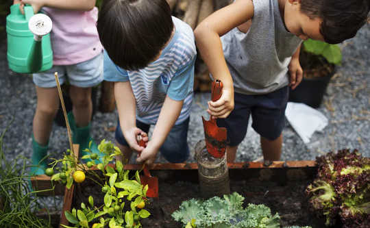 Why Schools Should Embrace Outdoor Education