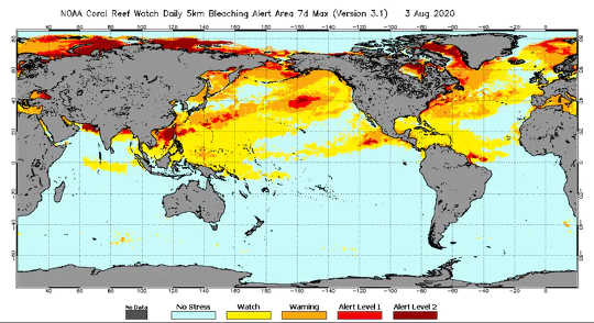 Sea surface temperatures on Aug. 3, 2020, measured from satellites.