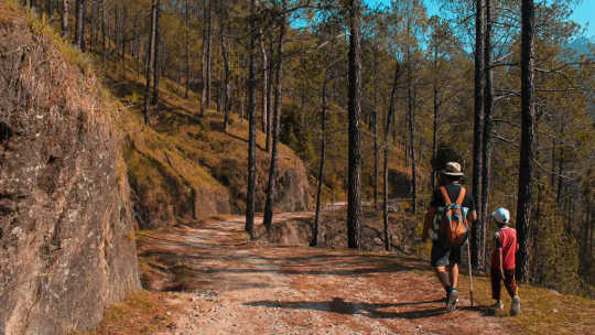 Man and son walking through woodland.