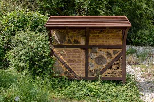 How To Transform Your Garden Or Balcony Into A Wildlife Haven