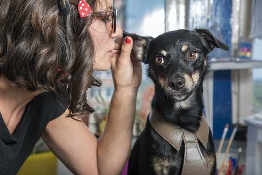 How To Talk To Your Dog – According To Science