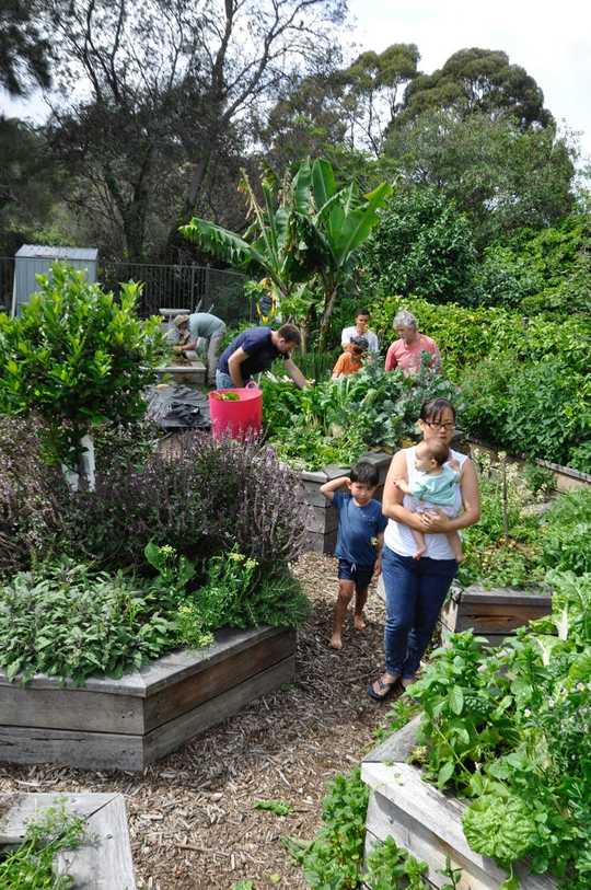 How To Transform Your Garden Or Balcony Into A Wildlife Haven